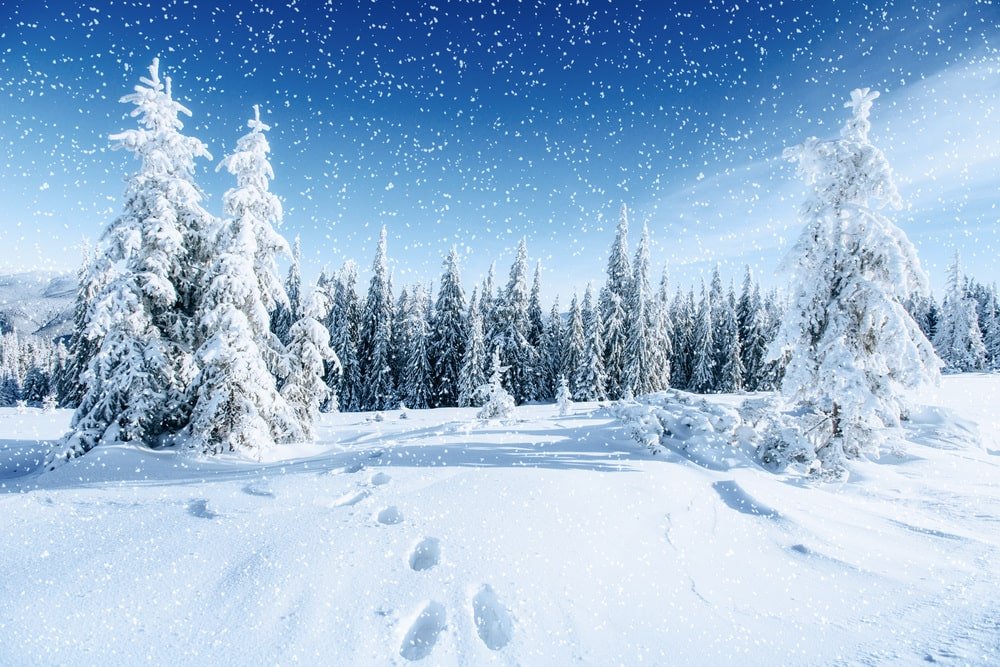fantastic-winter-landscape-trodden-trails-that-lead-into-min